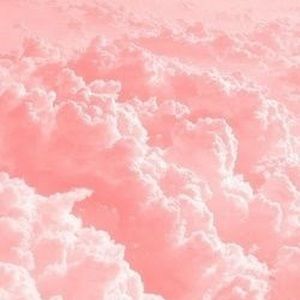 Meet your Posher, Hannah-grace